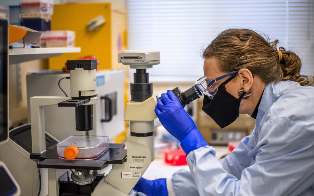 Small and mighty – VHH ‘bolt-ons’ to expand therapeutic functionality