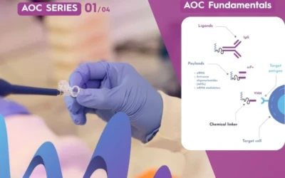Why Antibody–Oligonucleotide Conjugates Are Gaining Momentum