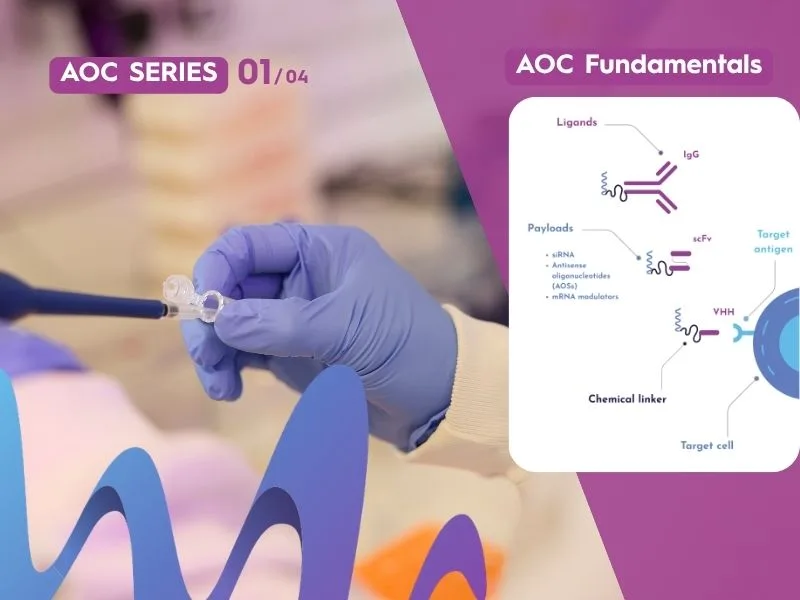 Why Antibody–Oligonucleotide Conjugates Are Gaining Momentum
