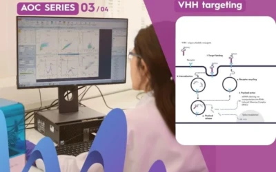 Why VHHs Are Attractive Targeting Ligands for AOCs