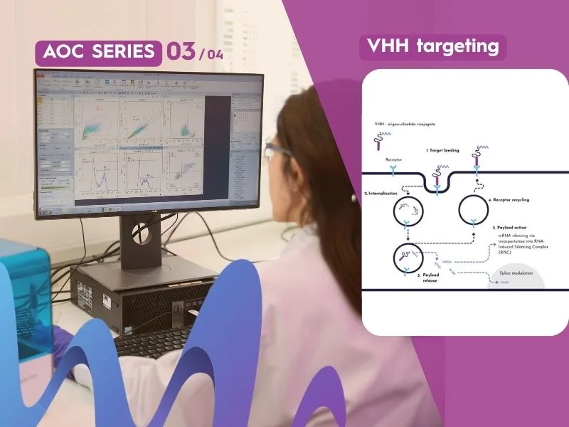 Why VHHs Are Attractive Targeting Ligands for AOCs