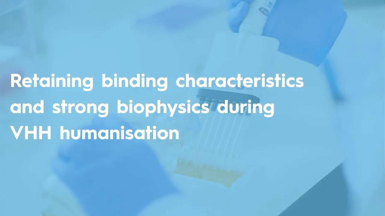 Retaining binding characteristics and strong biophysics during VHH humanisation